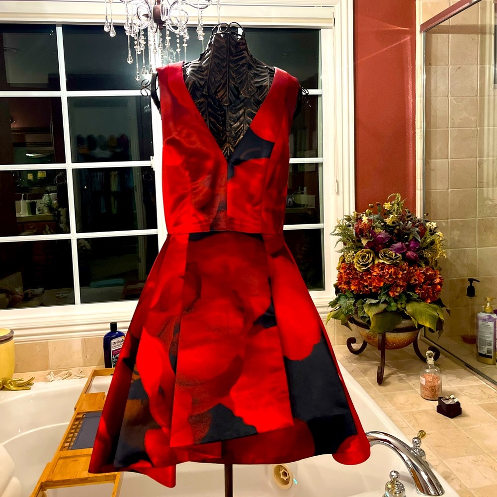 Alice + Olivia dress